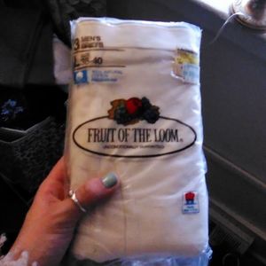 Fruit of the loom briefs